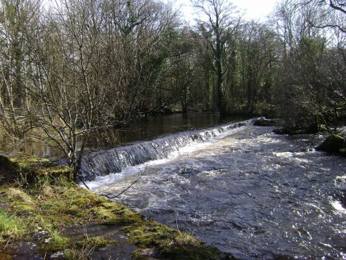 Mill race for Imbolc walk