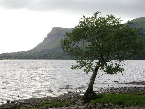 Earthwise tour of Ben Bulben area Ireland