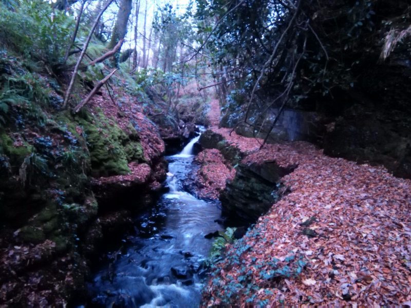 tranquil walk