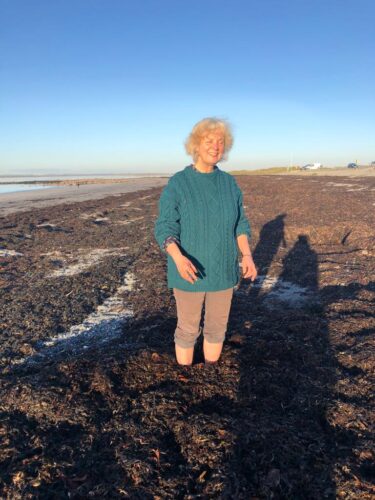 Harvesting the seaweed with Earthwise