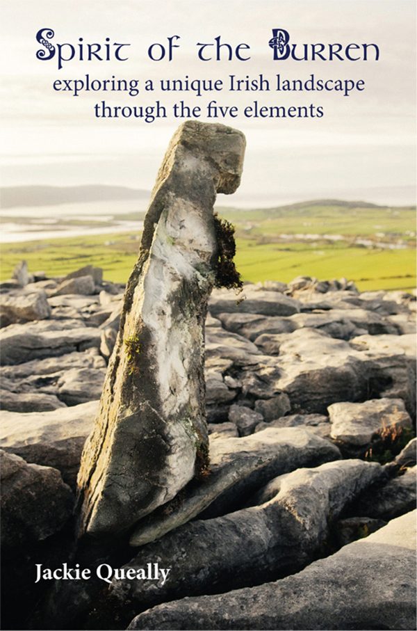 deep book on a sacred landscape Ireland