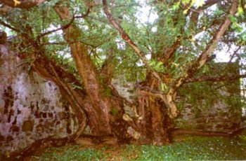 self-drive sacred sites UK Ireland