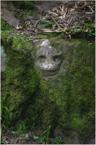 Carving of head in Roslin Glen